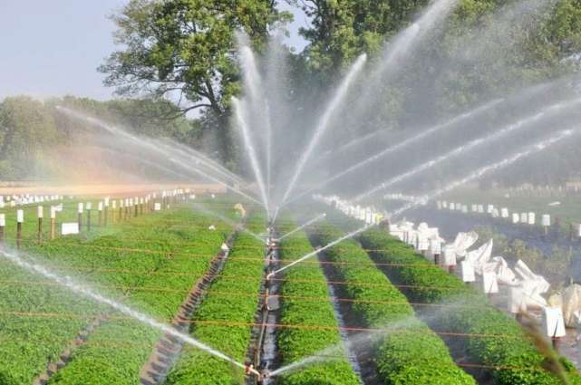 Punjab to introduce modern irrigation systems in the province