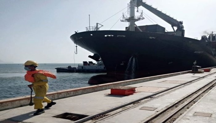 First bulk cargo ship reaches Gwadar